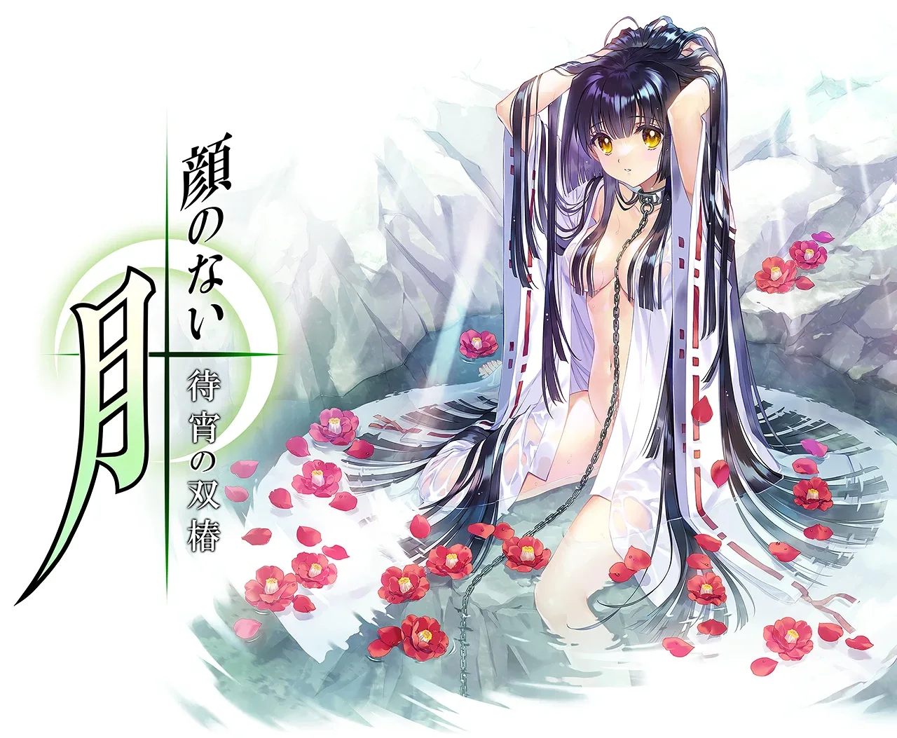 无颜之月-待宵双椿 无颜之月-待宵双椿 2025重制版 最新消息 封面图